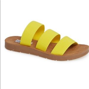 NWT Steve Madden Sz 6.5 Pascale Sandals